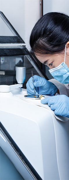 illustration pour la BU Nord Europe d'IMT Transfert