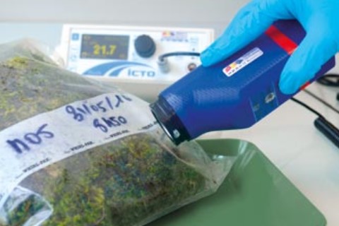 mesure de radioactivité sur des végétaux